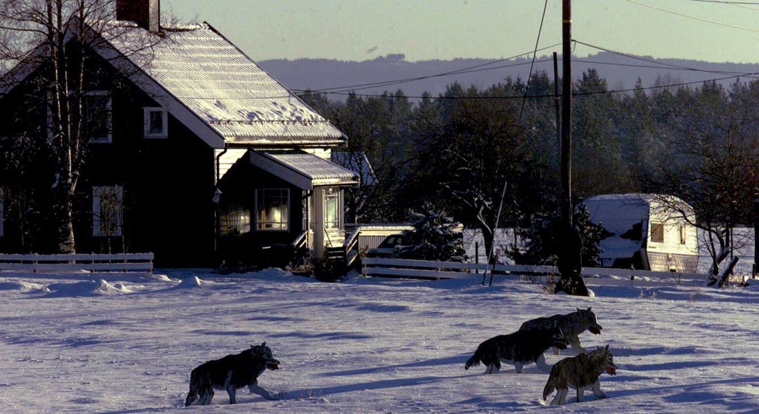 Riistakamerat valvovat ja kuvaavat